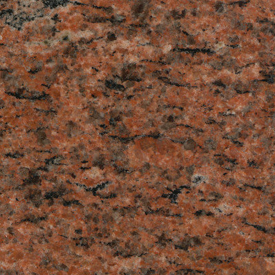 Vanga Red